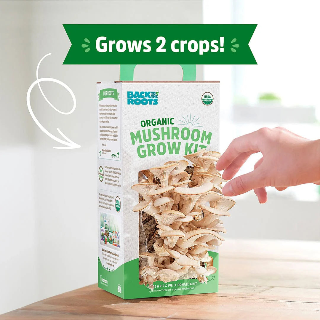 Organic Mushroom Growing Kit