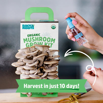 Organic Mushroom Growing Kit