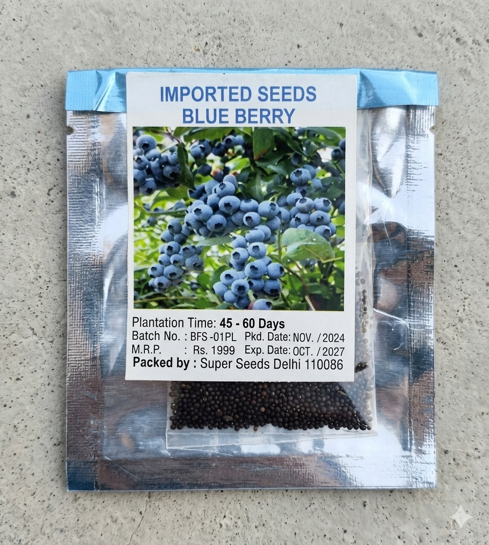 Giant Blueberry Fruit Seeds
