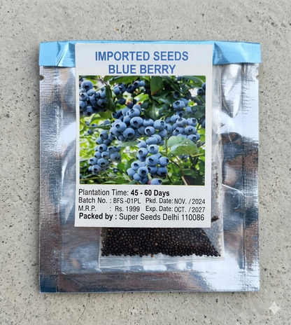 Giant Blueberry Fruit Seeds