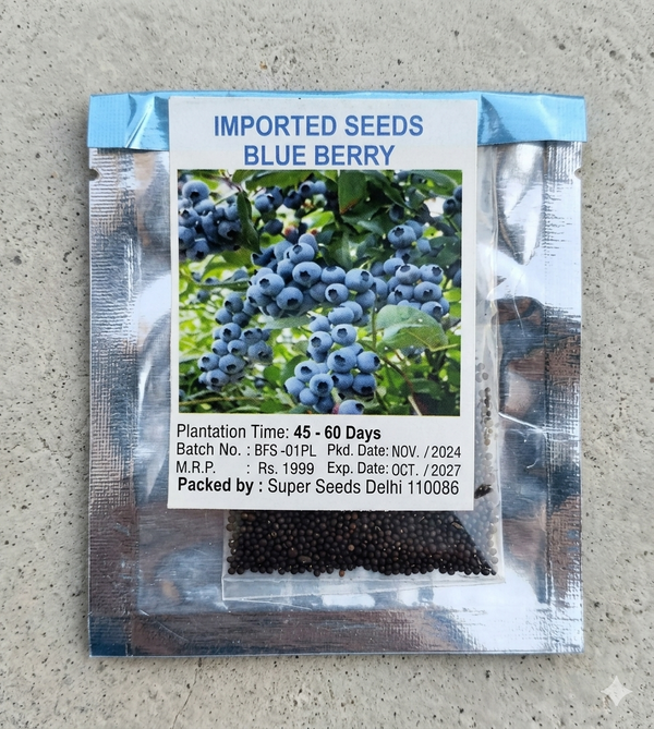 Giant Blueberry Fruit Seeds