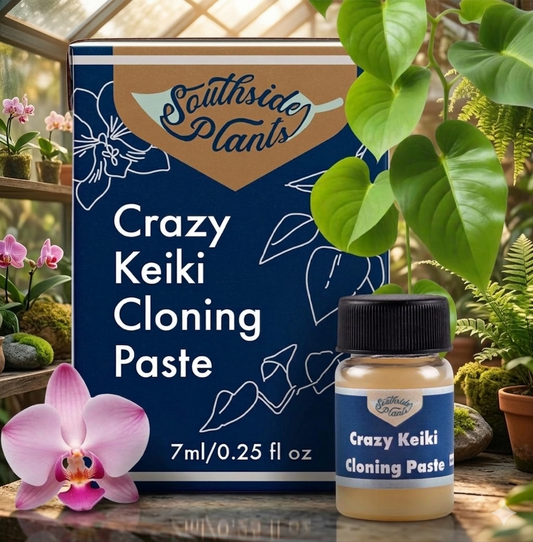 Keiki Cloning Paste